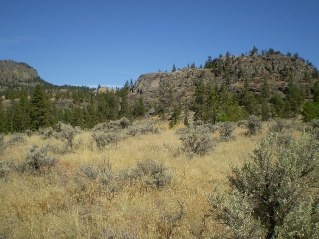 Trail passes through scenic meadows, McIntyre Bluff 2011-09.